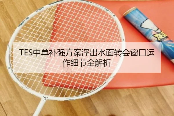 TES中单补强方案浮出水面转会窗口运作细节全解析 - QIANYISPORTS